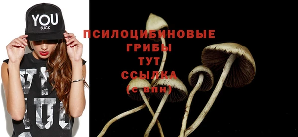стаф Верхнеуральск