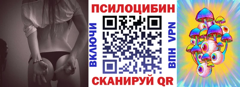 где купить наркоту  Волхов  маркетплейс телеграм  Галлюциногенные грибы Cubensis 